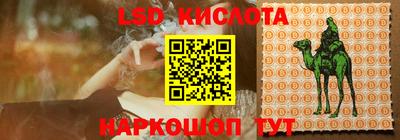 стафф Партизанск