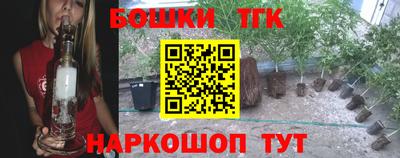 стафф Партизанск