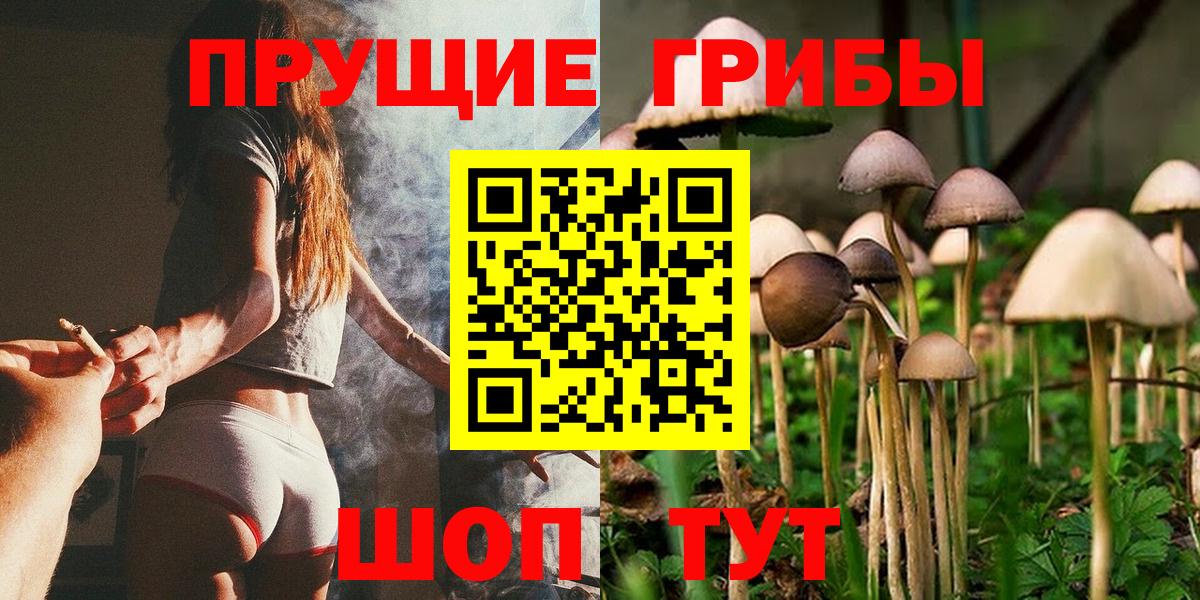 Галлюциногенные грибы прущие грибы  Псилоцибиновые грибы MAGIC MUSHROOMS  Скопин  Вход с VPN 
